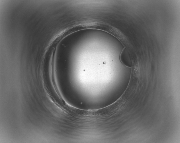 X0000067830732200604171126