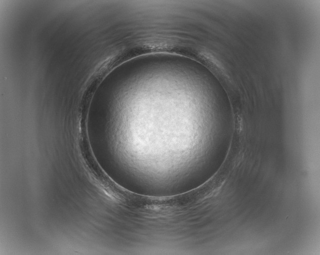 X0000067830733200604171126