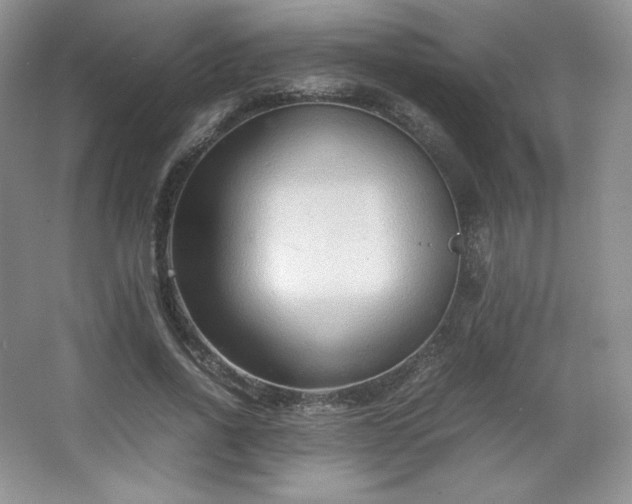 X0000067830734200604171126