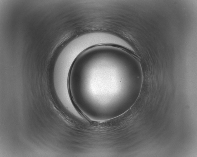 X0000067830735200604171126