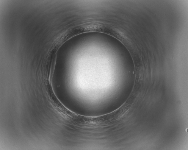 X0000067830737200604171126