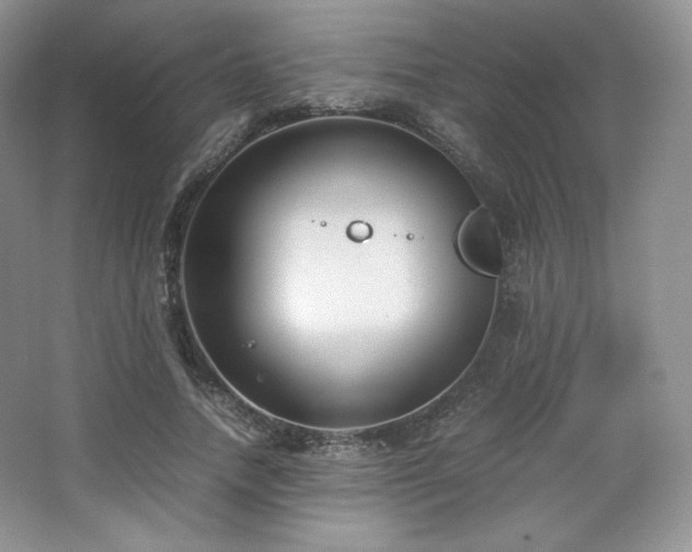 X0000067830738200604171126