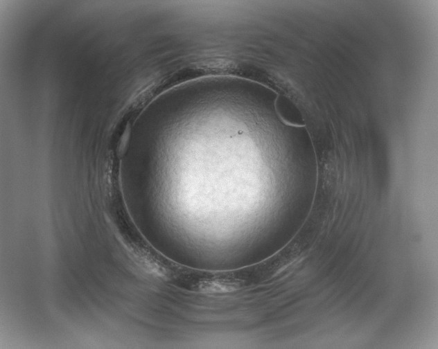 X0000067830739200604171126