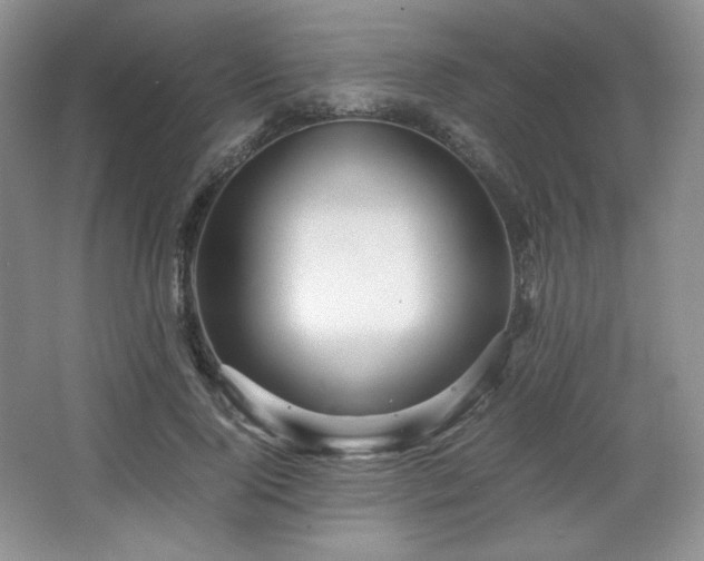 X0000067830740200604171126