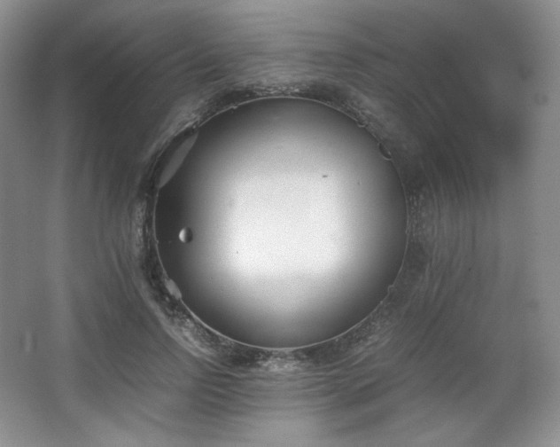 X0000067830742200604171126