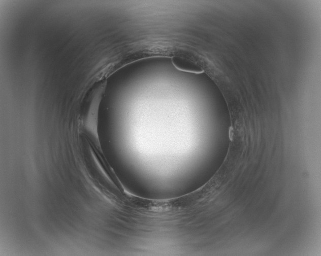 X0000067830744200604171126