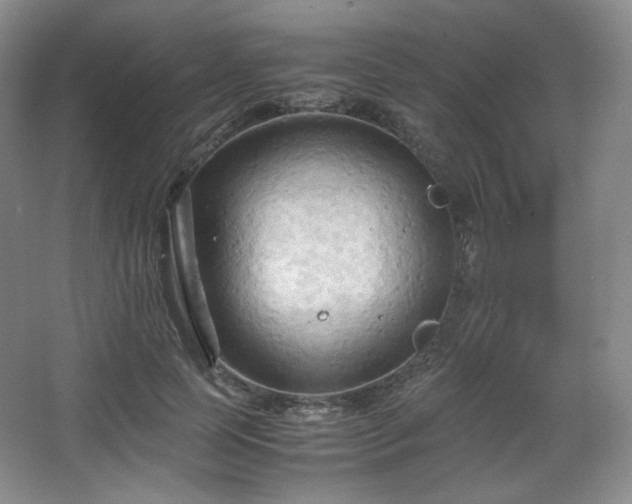 X0000067830745200604171126