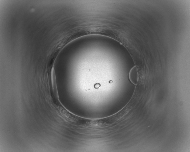 X0000067830746200604171126