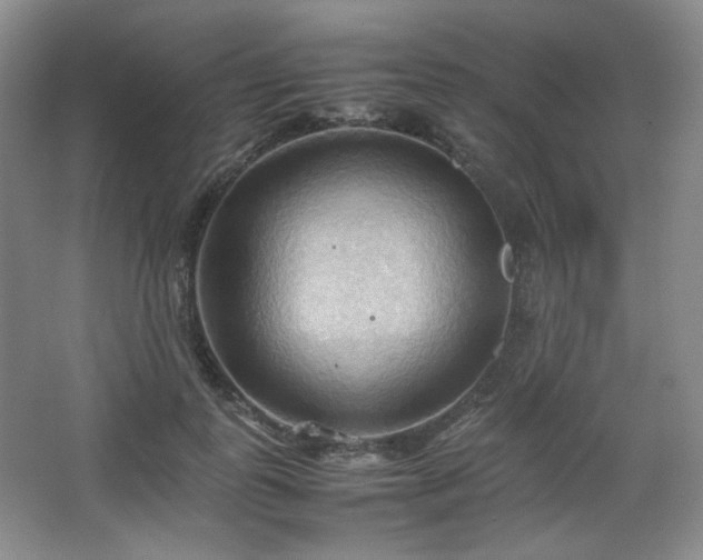 X0000067830747200604171126