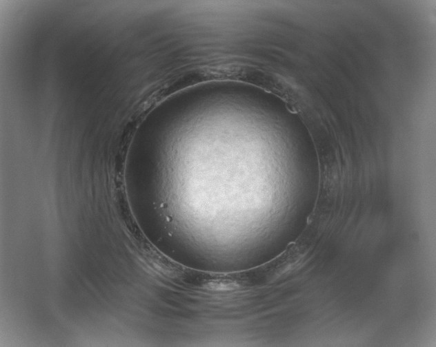 X0000067830749200604171126