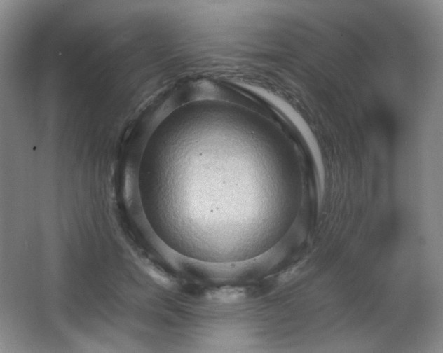 X0000067830750200604171126