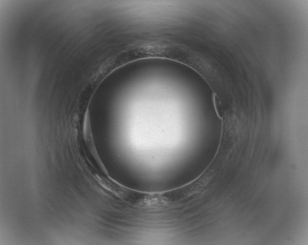 X0000067830752200604171126