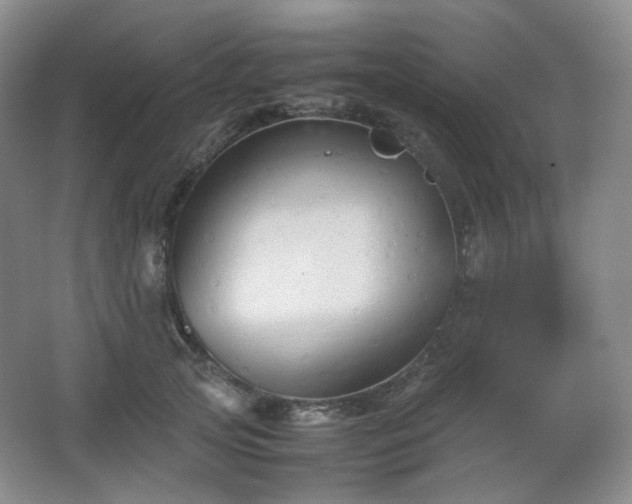 X0000067830753200604171126