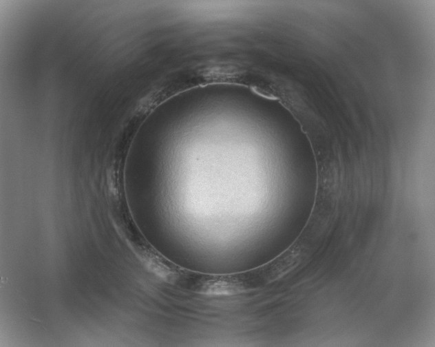 X0000067830755200604171126