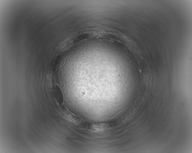 X0000067830757200604171127