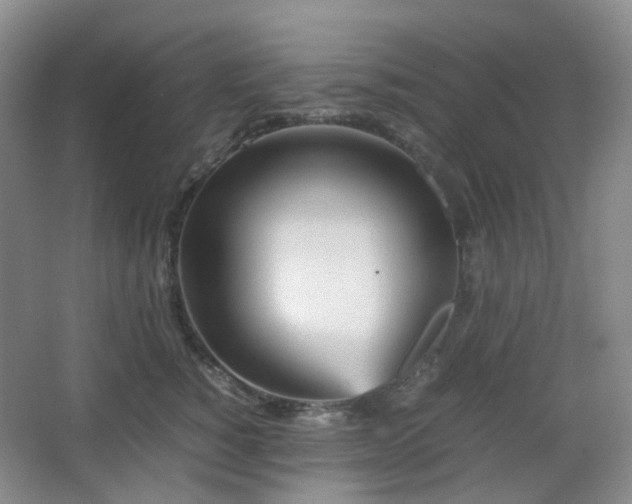 X0000067830760200604171127