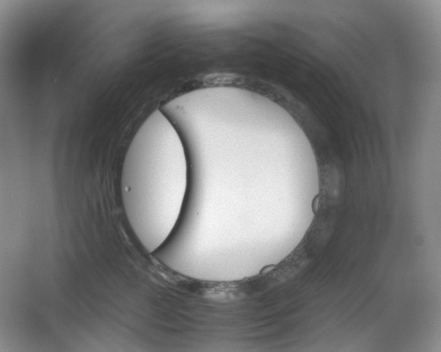 X0000067830761200604171127