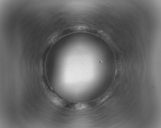 X0000067830762200604171127