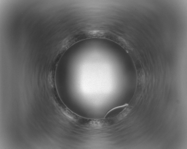 X0000067830764200604171127