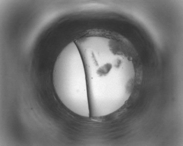 X0000067830765200604171127