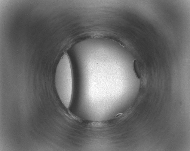 X0000067830766200604171127