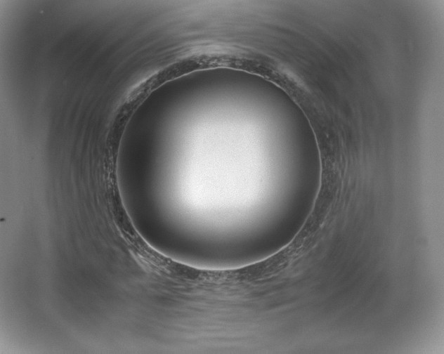 X0000067830775200604171126