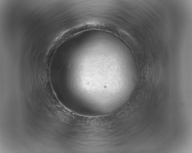 X0000067830776200604171126