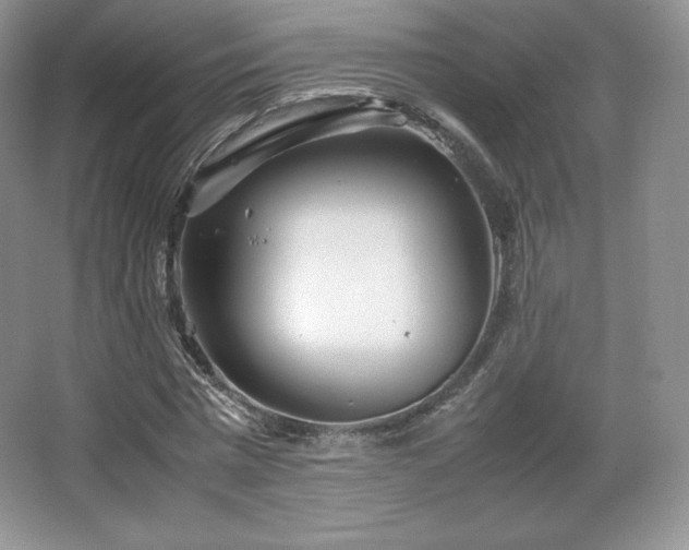 X0000067830777200604171126