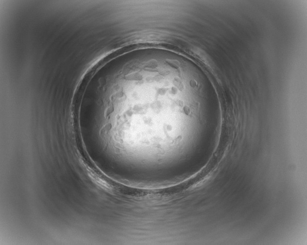 X0000067830779200604171126