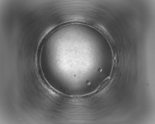 X0000067830780200604171126