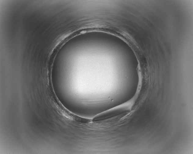 X0000067830781200604171126