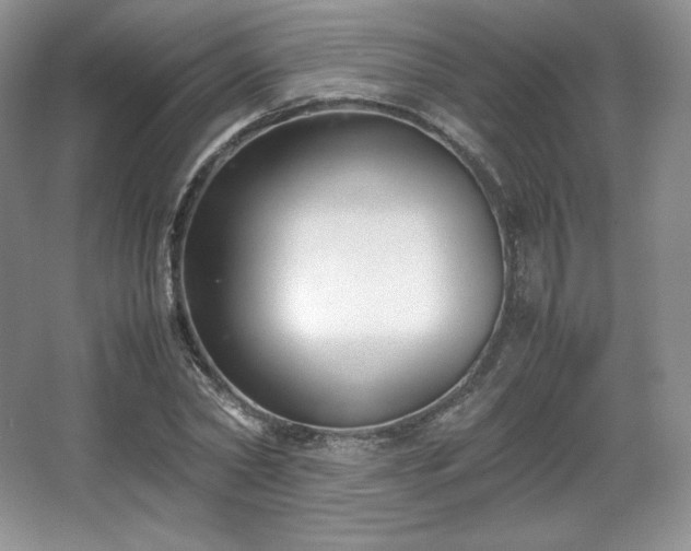 X0000067830782200604171126