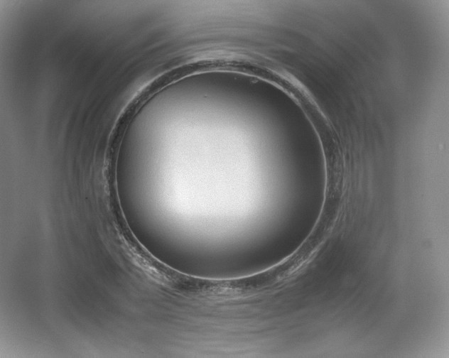 X0000067830783200604171126