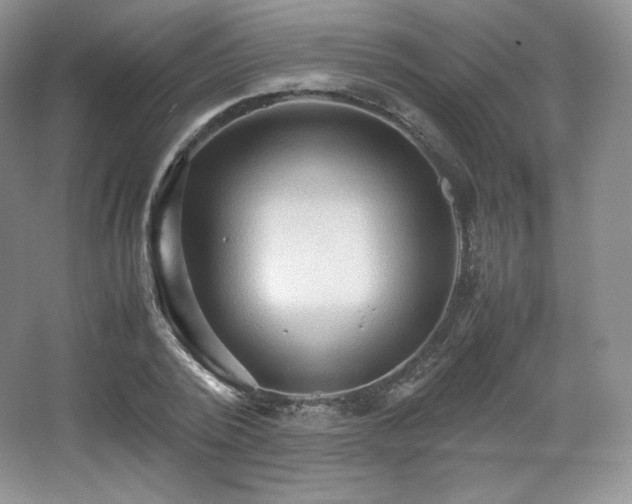 X0000067830784200604171126