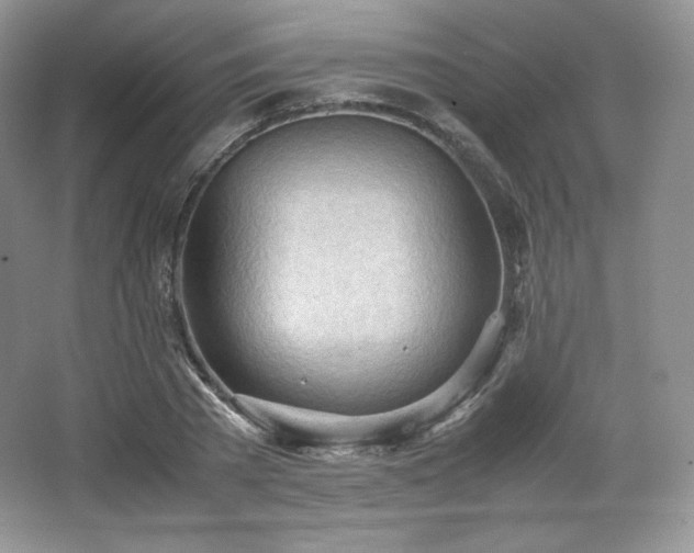 X0000067830785200604171126