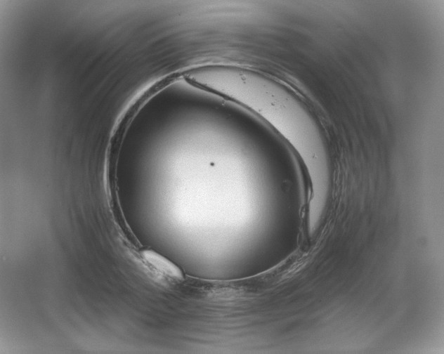 X0000067830788200604171126