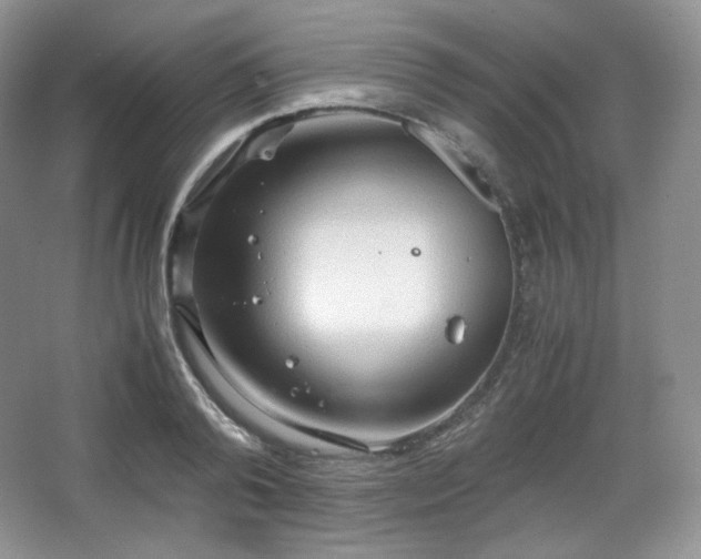 X0000067830792200604171126