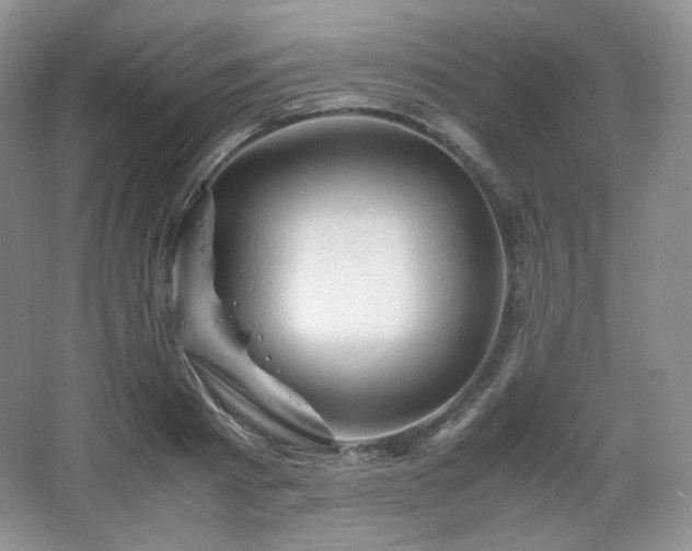 X0000067830793200604171126