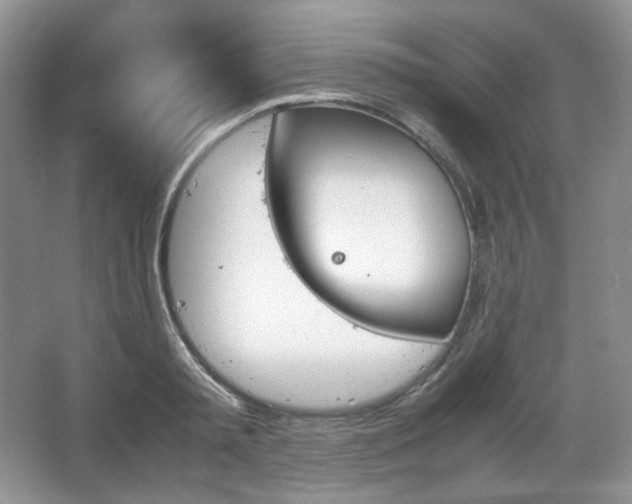 X0000067830797200604171125