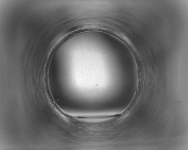 X0000067830799200604171125