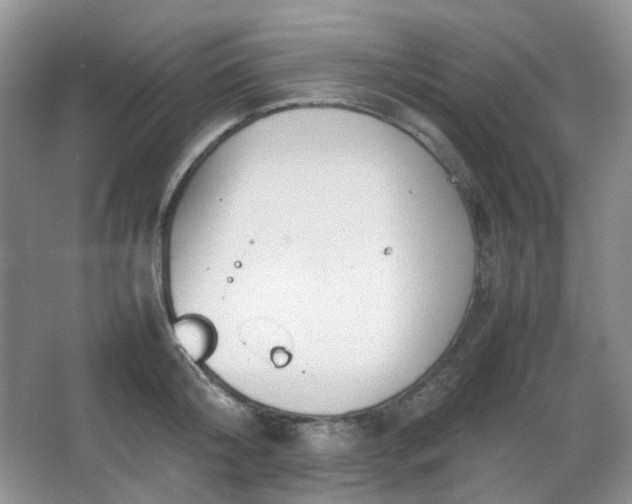 X0000067830804200604171125