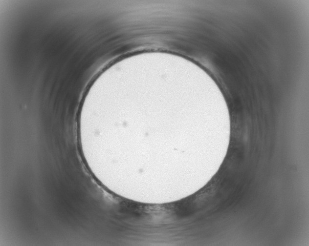 X0000067830807200604171125