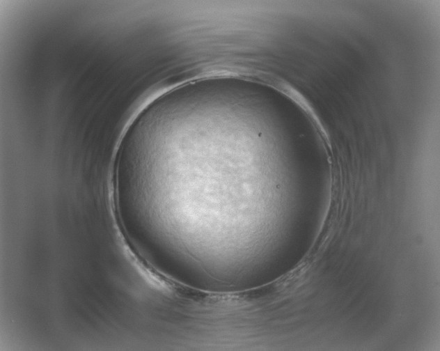 X0000067830811200604171125