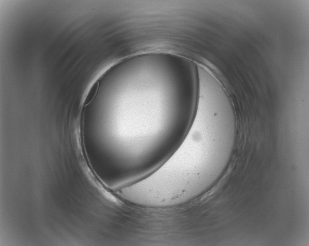 X0000067830812200604171125