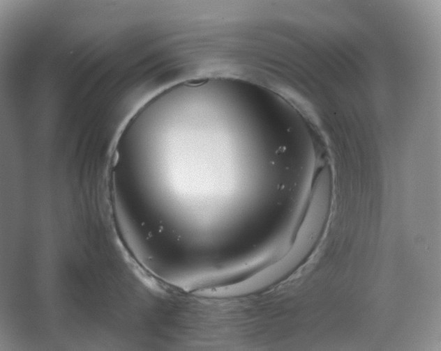 X0000067830816200604171125