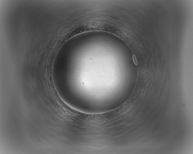 X0000067830817200604171124