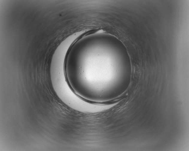 X0000067830818200604171124