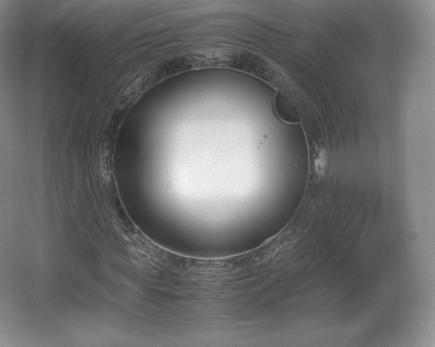 X0000067830819200604171124