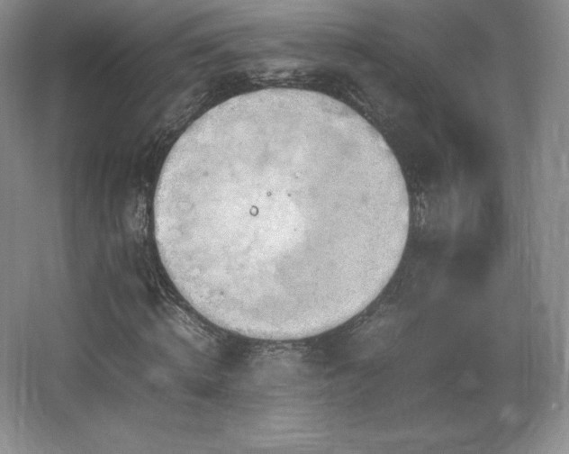 X0000067830820200604171124