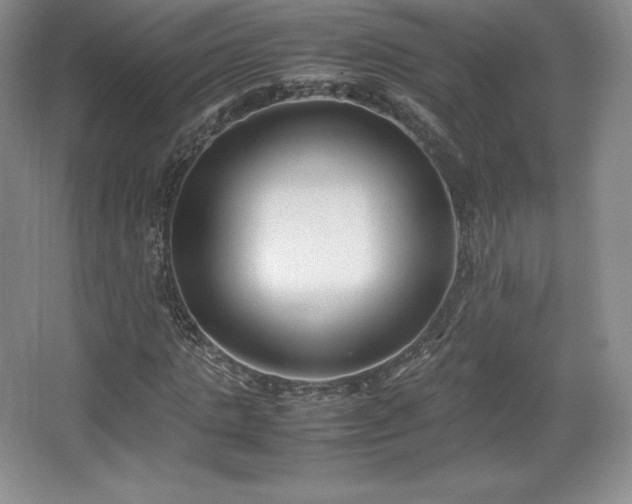 X0000067830821200604171124